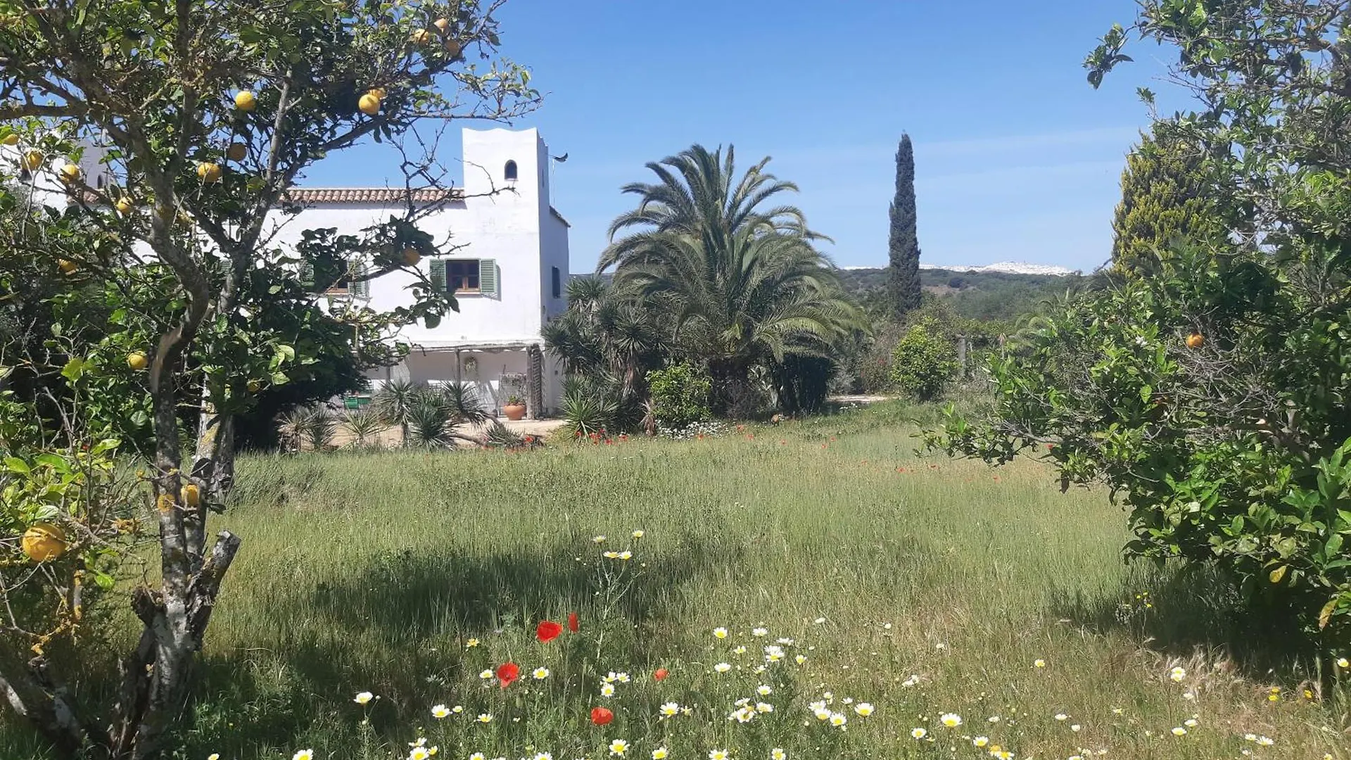 El Sueno Finca - Eco Finca With Pool Near Beaches Vejer de la Frontera 0*,  Spain