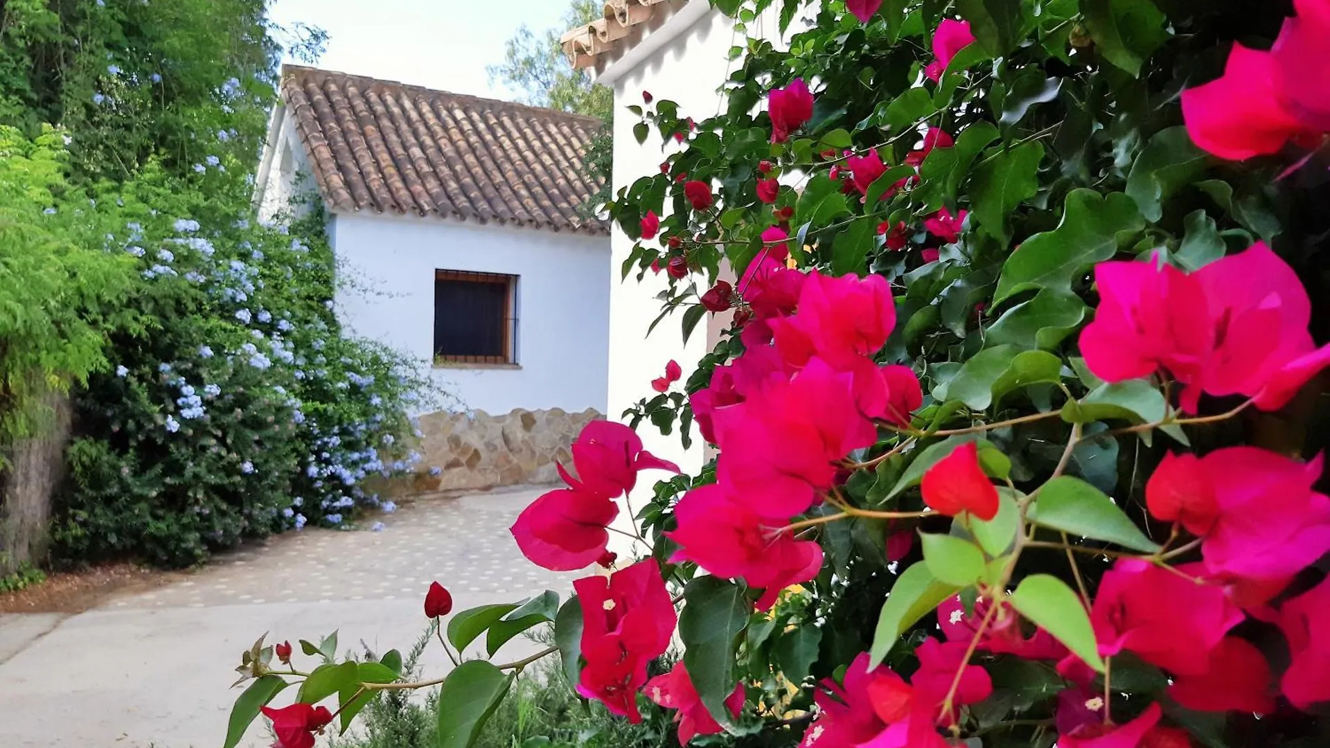 El Sueno Finca - Eco Finca With Pool Near Beaches Vejer de la Frontera Holiday home